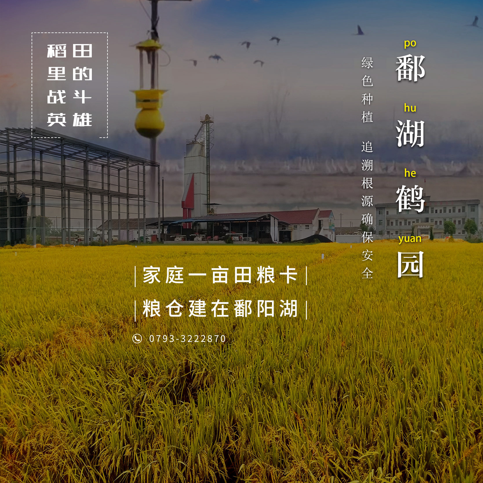 募集#&#鄱陽(yáng)湖一畝良田的主人啦！